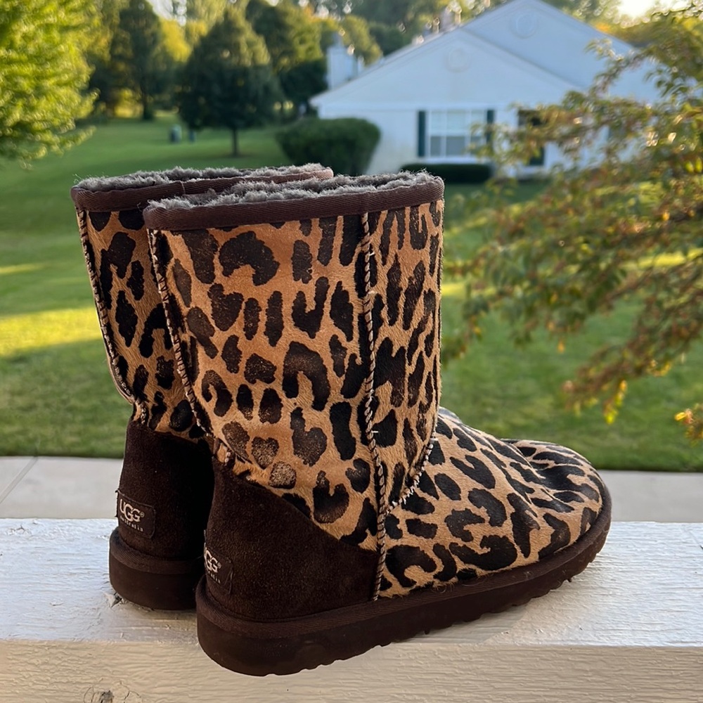 Leopard Uggs